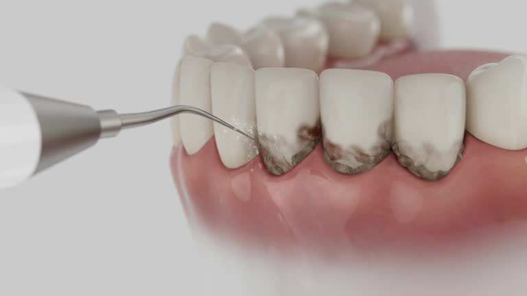 Reliable Dental contractor in Burns, TN by Dentist Open Now